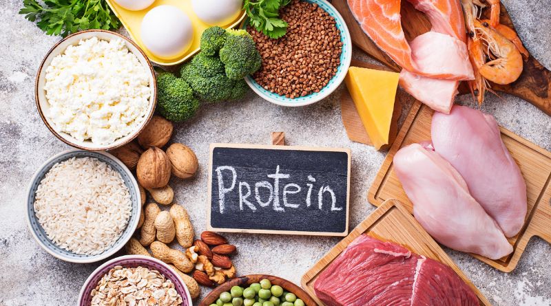 protein is essential for boost metabolism