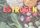 foods rich in estrogen