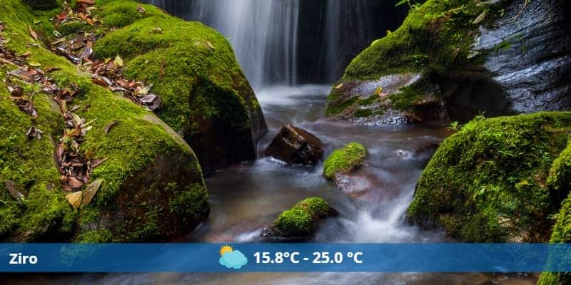 Ziro-A place in North- East India to visit in July