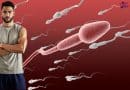 Does Releasing Sperm Affect Muscle Growth