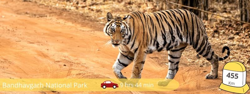 Bandhavgarh National Park Bandhavgarh-National-Park