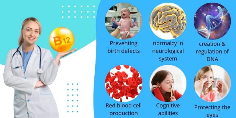 health benefits of vitamin b12 health-benefits-of-vitamin-b12